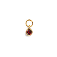 Stories Mini Round Birthstone Hoop Pendant (Gold)