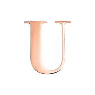 PersonalizE LETTERS - SILVER