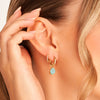 Organic Amazonite Huggie Earrings (Gold)