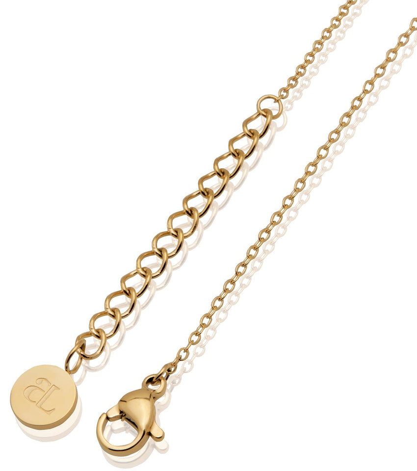 Hammered Initial & Birthstone Necklace (Gold)