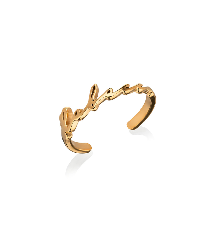 Signature Name Ring (Gold)