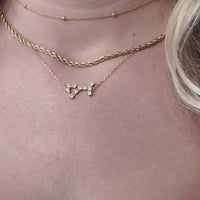 Sterling Silver Crystal Zodiac Necklace (Gold)