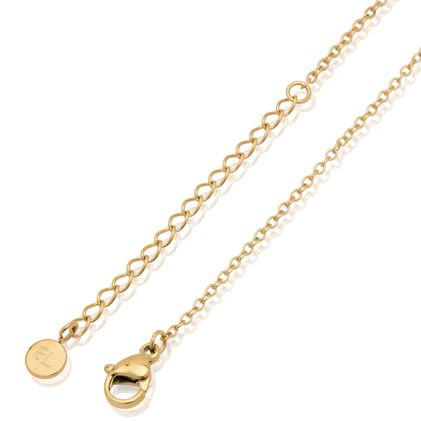 Mini Heart Birthstone & Initial Set (Gold)