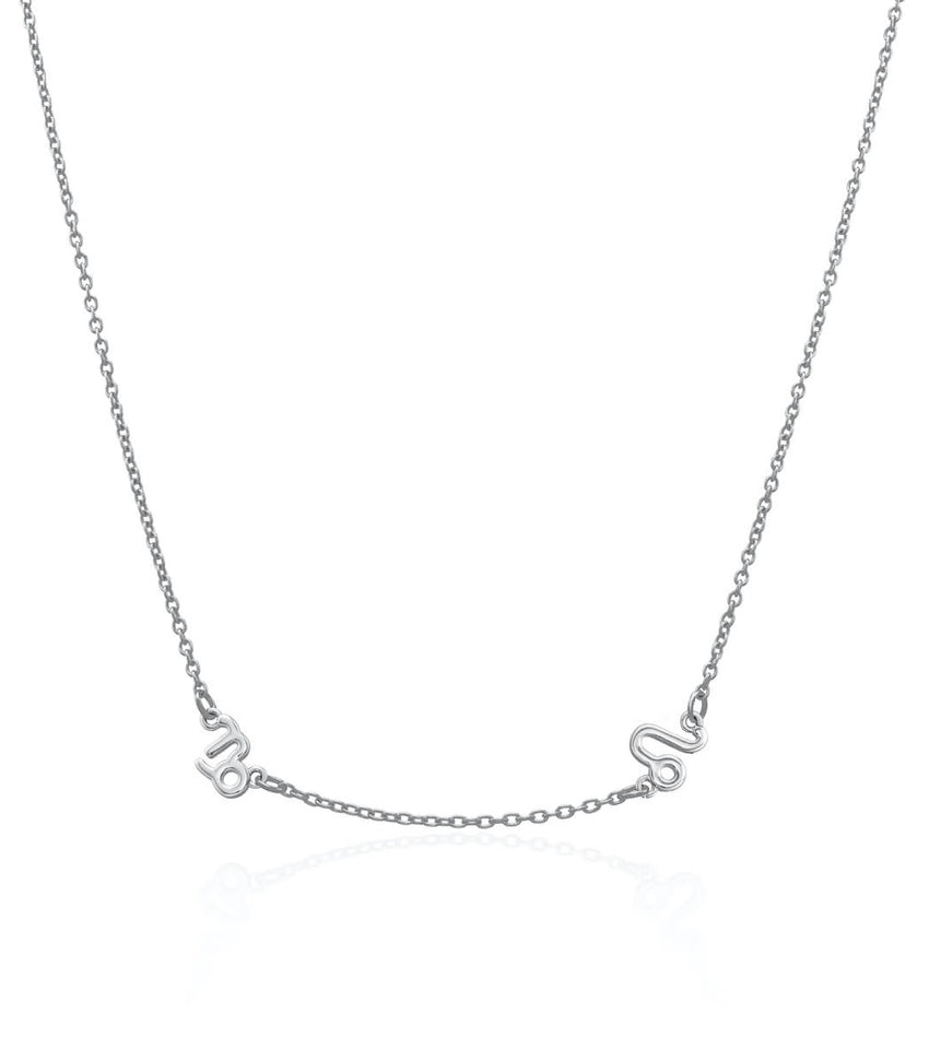 Silver Leo Zodiac Necklace | Lily Charmed