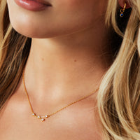 Sterling Silver Crystal Zodiac Necklace (Gold)