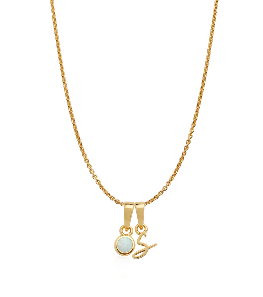 Stories Script Initial & Birthstone Necklace (Gold)