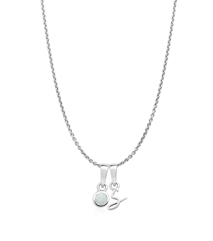 Stories Script Initial & Birthstone Necklace (Silver)
