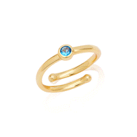 Sterling Silver Birthstone Ring (Gold)