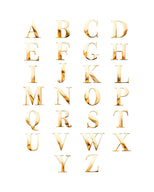 Metal Letter Key Ring (Gold) (CS Replacement)